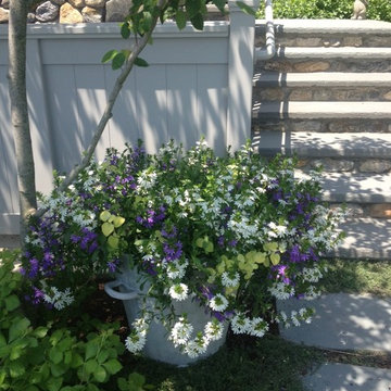 Container Gardens