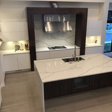 Danny's Customize home