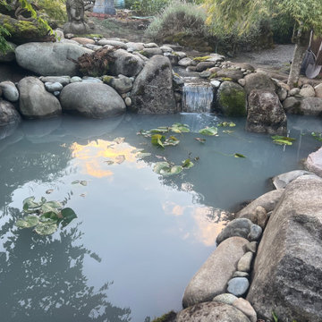 Pond Repair