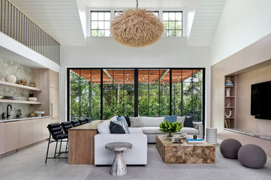 Living room - mid-sized contemporary living room idea in DC Metro