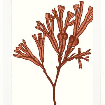 Vivid Seaweed