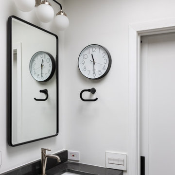 Lincoln Park Condo Remodel