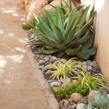 Backyard ideas