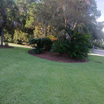 Coastal Landscape Maintenance and Tree Care