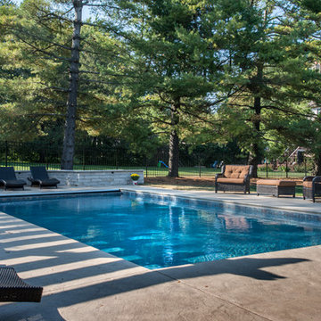 Lake Zurich, IL Swimming Pool, Pergola and Fireplace