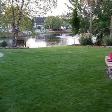 Backyard fun