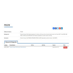 protein kinase g i-beta - Products