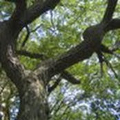 Brenna Hale's photo