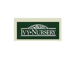 Ivy Nursery Inc