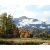 Carol Barr's photo