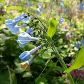 Gretchen Lettau's photo