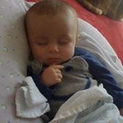 Amanda Liese's photo
