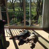 Iain Macaulay's photo