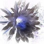 Mohammad Tanbakuchi's photo