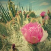 Ryan O'Hara's photo