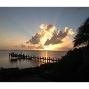 Andrew Iorio's photo
