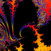 David Waller's photo