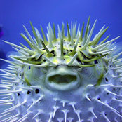 Sue OToca's photo