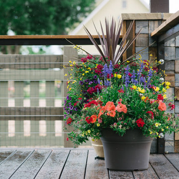 Large deck addition