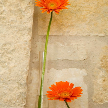 Watersmark_Plants