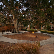 Historical Oak Preservation