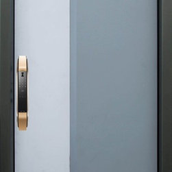 Modern Entry Doors Series - Products