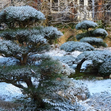 Winter im ZEN-Kloster Liebenau