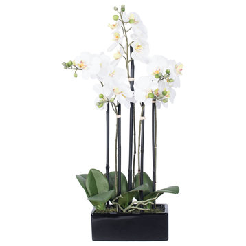 Vickerman 21" Potted Orchid X 5, White