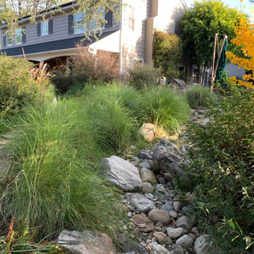 California Craftsman Forest - 5 Years Later