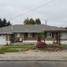 landscape - front yard