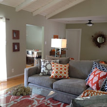 Living Room Ideas