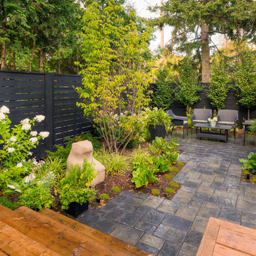 Bloor West Village Backyard Makeover