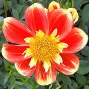 Kathy Kelley's photo