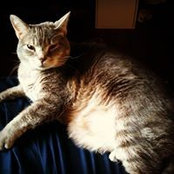 Gretel Gammache's photo