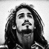 Joaquin McWhinney's photo