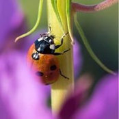 Lisa Sims's photo