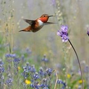 Melissa Eden's photo
