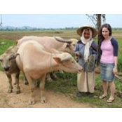 Dali Balaban's photo
