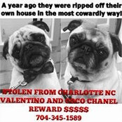 Ally Montier's photo