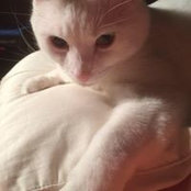 Tina Blodgett's photo