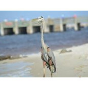 Tammy Doverspike's photo