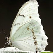 Jo Anne Mitchell's photo