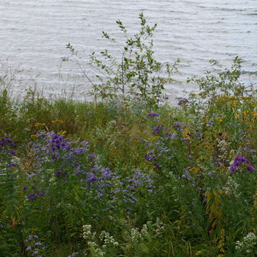 Shoreline Projects
