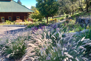Inspiration for a contemporary landscaping in San Francisco.