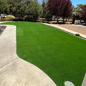 Purchase Green