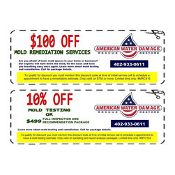 Mold Testing and Mold Mitigation - Home Improvement