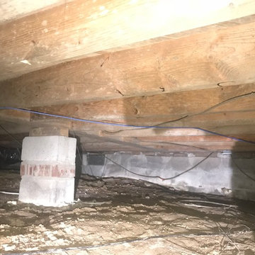 Crawlspace Encapsulation & Mold Removal