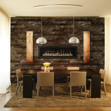 Vector 50 Napoleon's Linear Fireplace LHD50