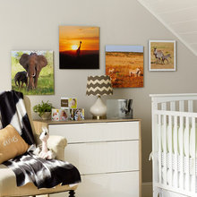 Safari Nursery