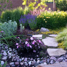 Puma's Patio